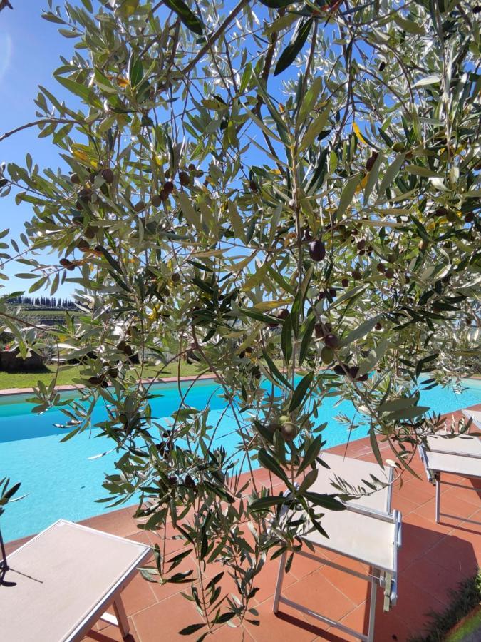 Agriturismo Sommassa Greve in Chianti Exteriér fotografie