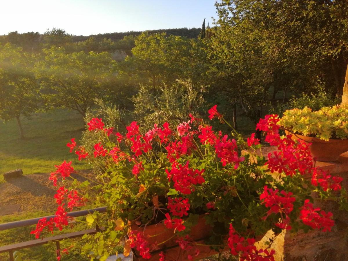 Agriturismo Sommassa Greve in Chianti Exteriér fotografie